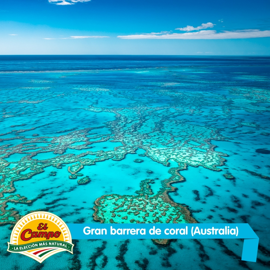Abril: Gran Barrera de Coral (Australia)