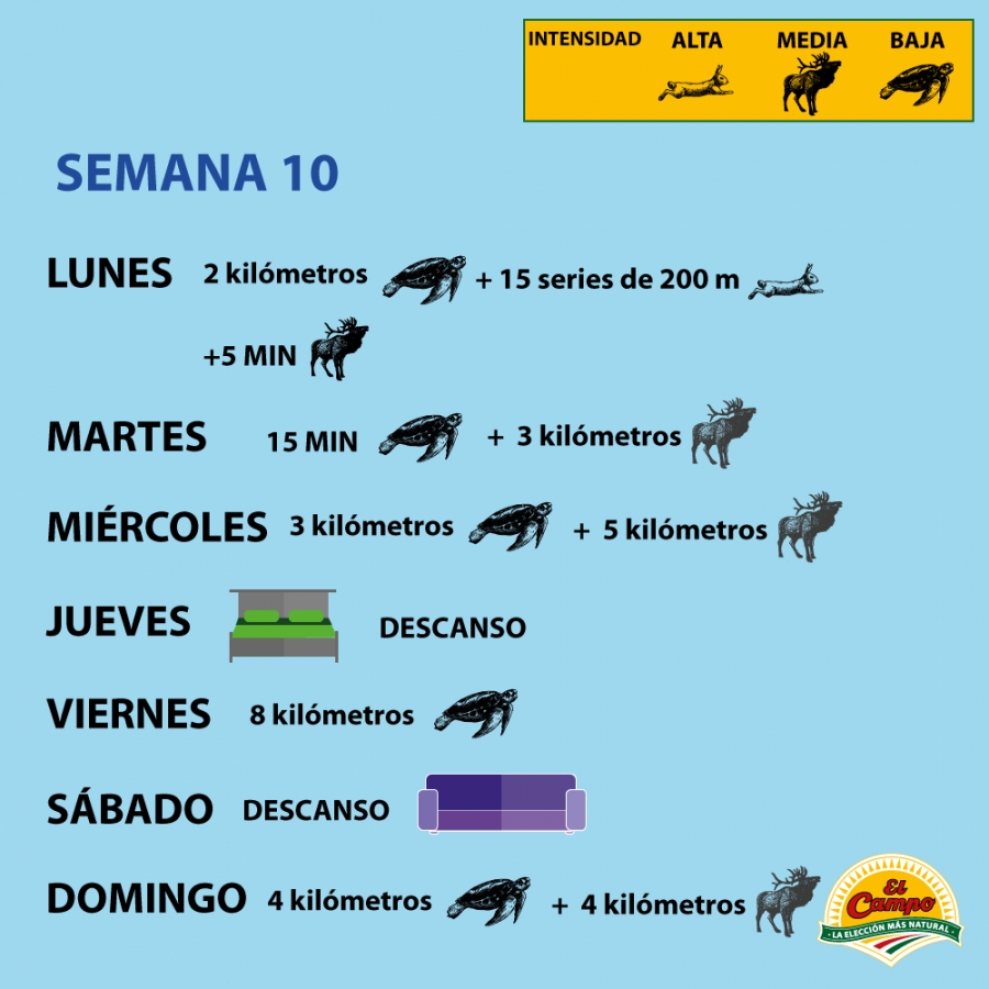 Semana 10 de entrenamiento