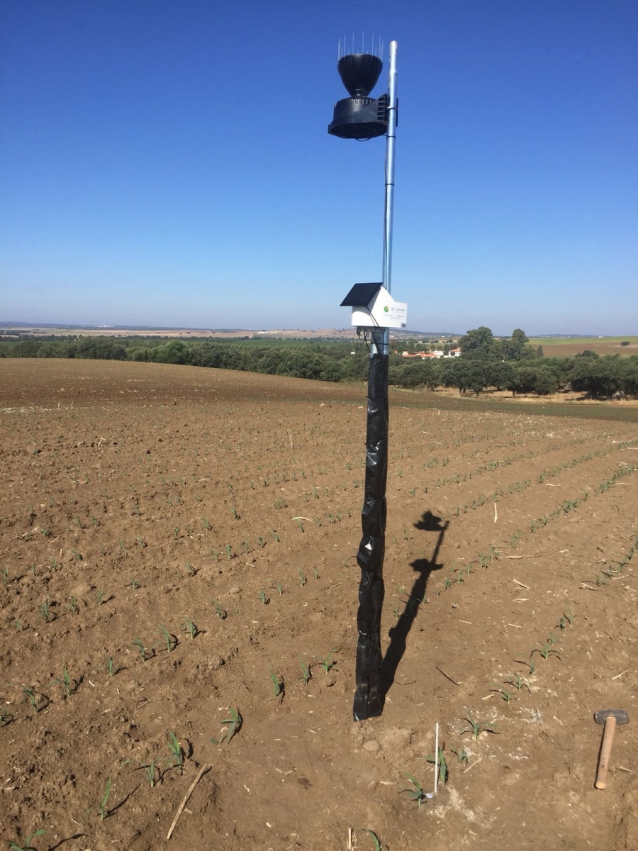 Implementamos una estación de control de riego y humedad