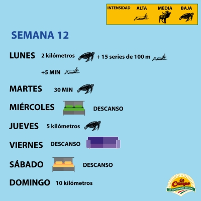 Semana 12 de entrenamiento